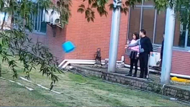 用數(shù)據(jù)說話，風(fēng)雨小動(dòng)物不誤報(bào)！