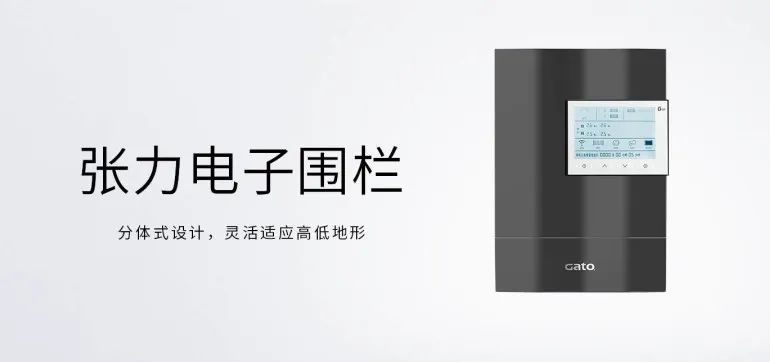 新的一年，廣拓的信心(圖8)