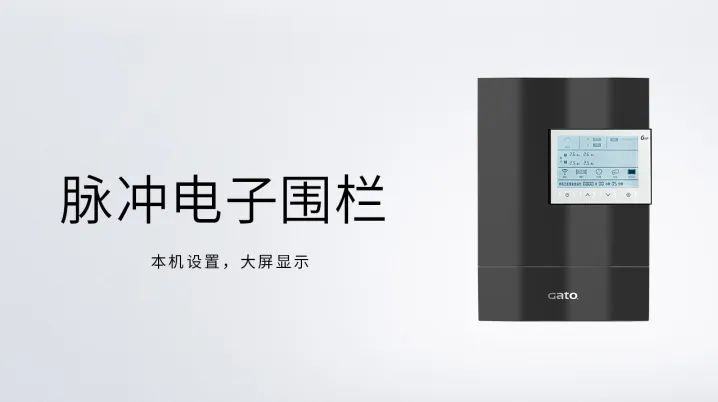 新的一年，廣拓的信心(圖9)