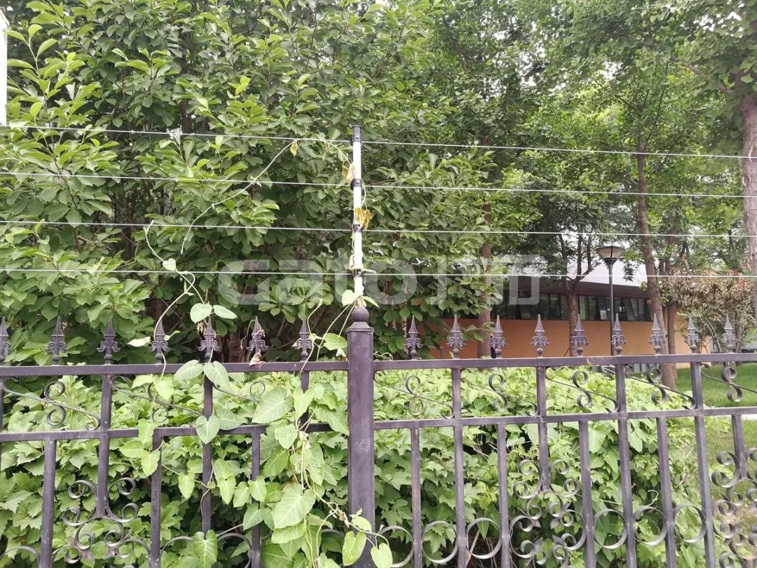 世界大學生日 | 節(jié)日盤點：廣拓報警產品走進過哪些高校？(圖10)