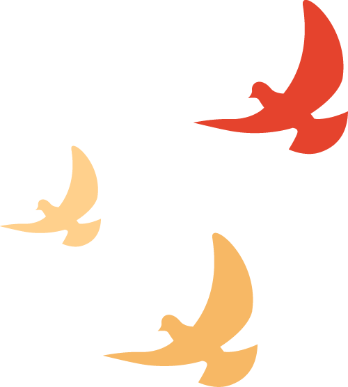 精彩速遞~23年昆明博覽會(huì)開展第一天(圖12)