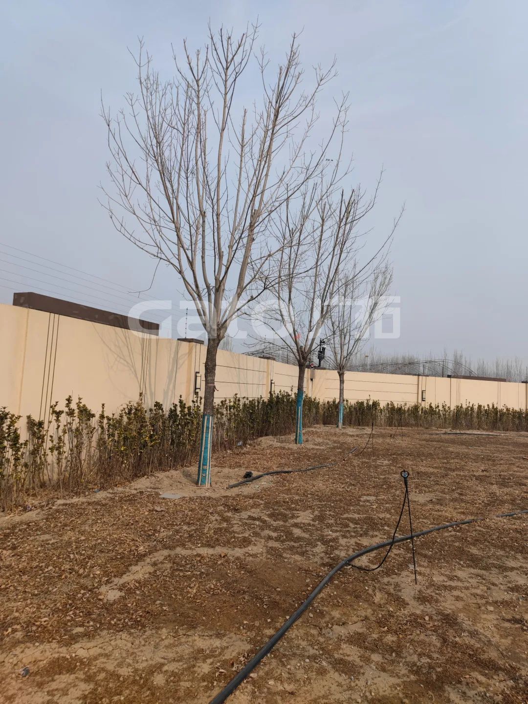 國(guó)家建筑節(jié)能技術(shù)國(guó)際創(chuàng)新園投產(chǎn)，廣拓G5s守護(hù)周界安全(圖8)