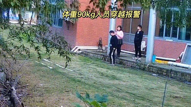 用數(shù)據(jù)說話，風雨小動物不誤報！(圖4)