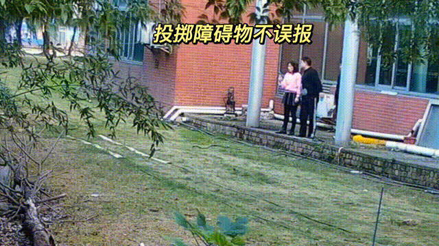 用數(shù)據(jù)說話，風雨小動物不誤報！(圖11)