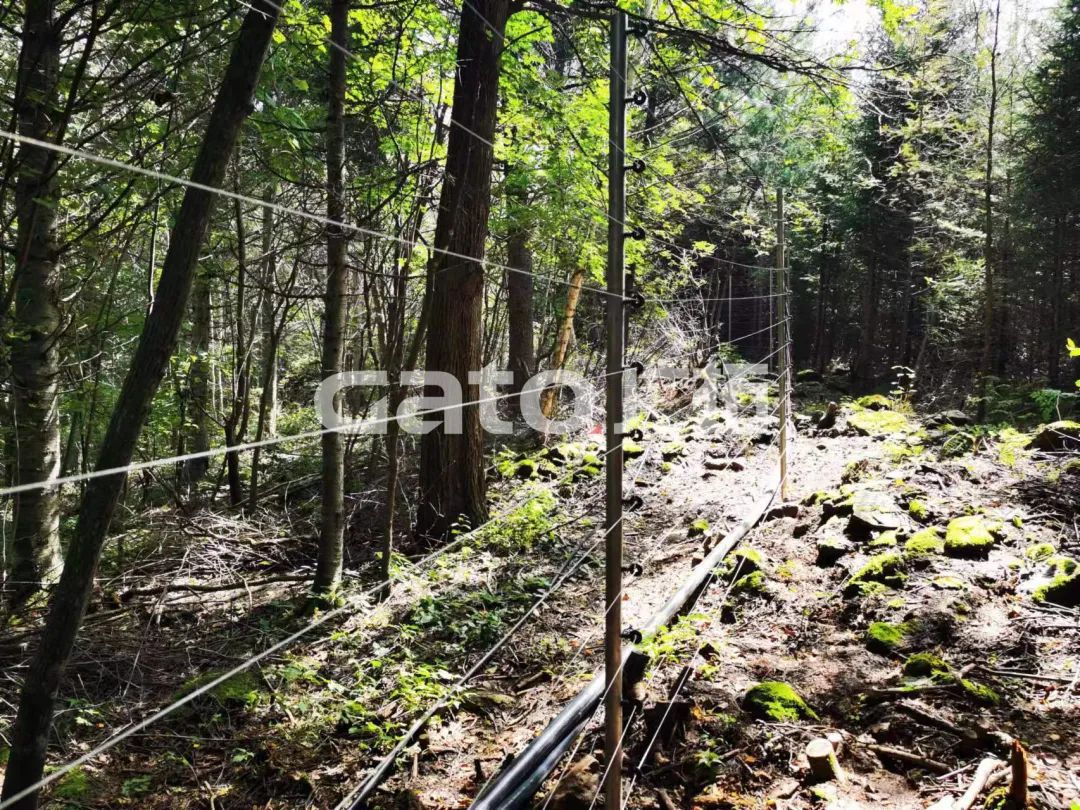 上過央視的省級礦泉水保護區(qū)，廣拓G5S安防就位！(圖9)