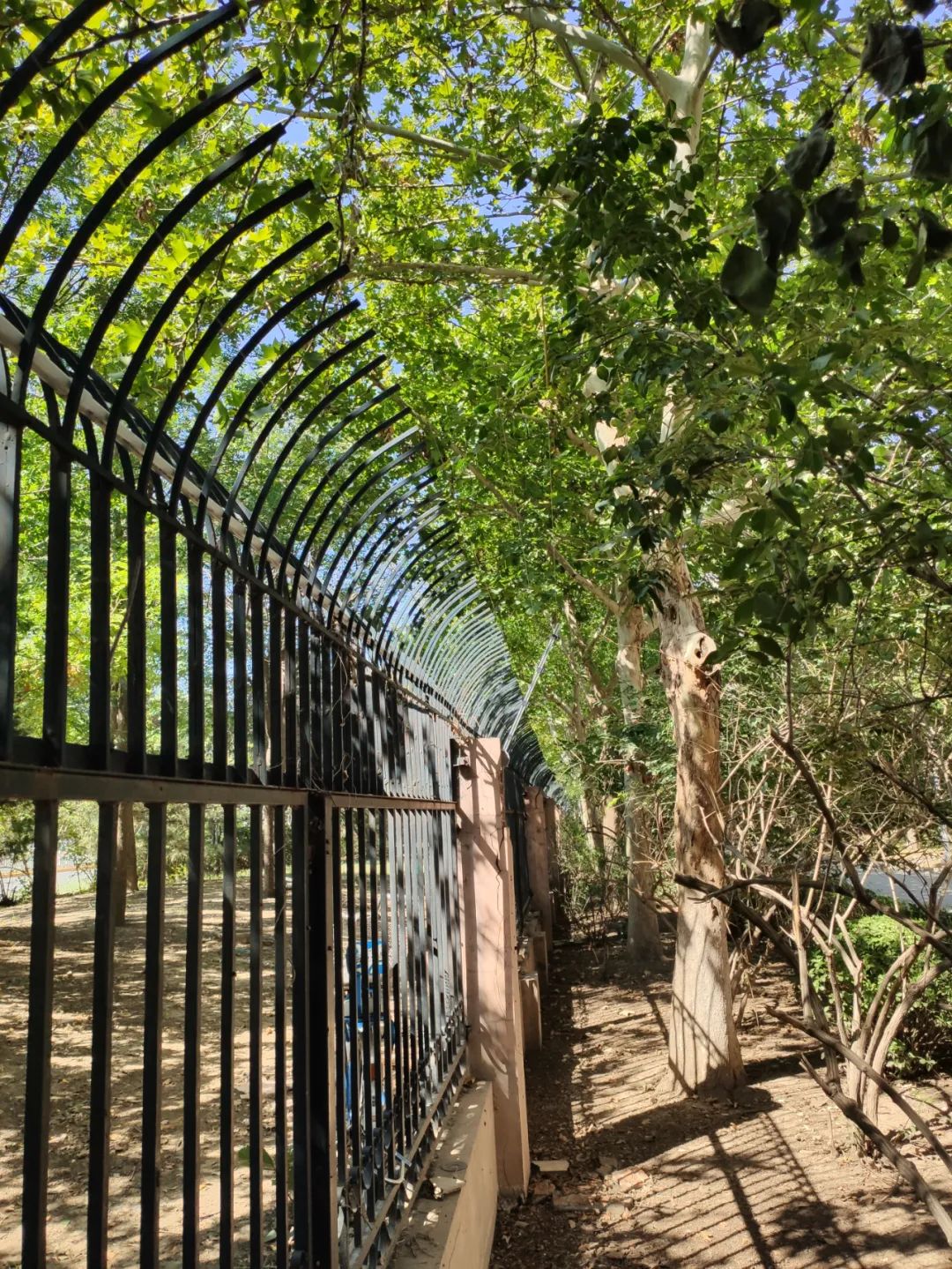 開學季！廣拓給孩子們最好的禮物是安全！(圖10)