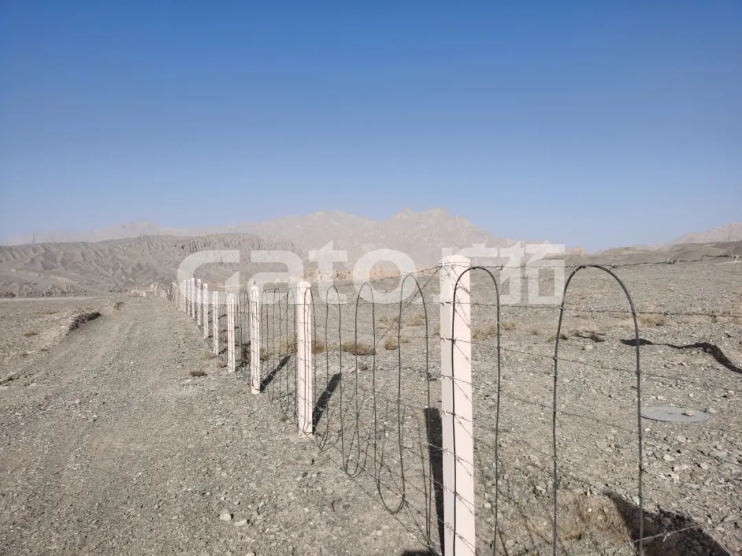 “唐僧”取經(jīng)路過的新疆古佛寺，千年后用上了廣拓F7振動光纖系統(tǒng)！(圖4)