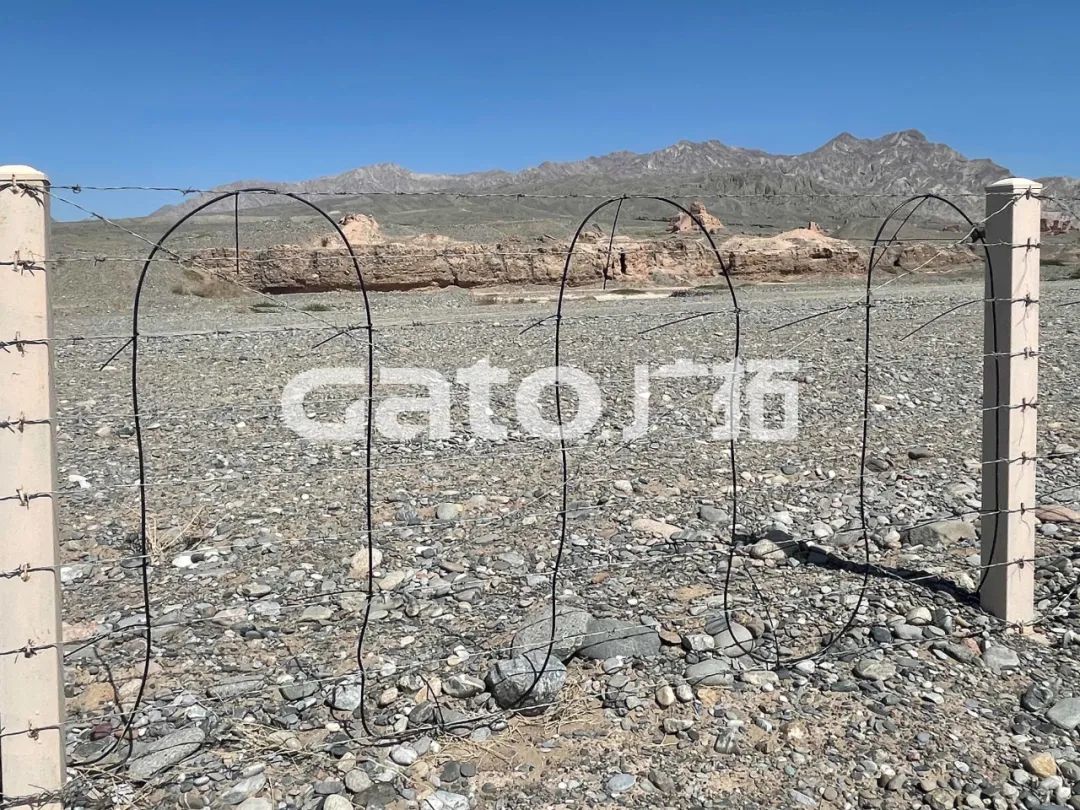 “唐僧”取經(jīng)路過的新疆古佛寺，千年后用上了廣拓F7振動光纖系統(tǒng)！(圖7)