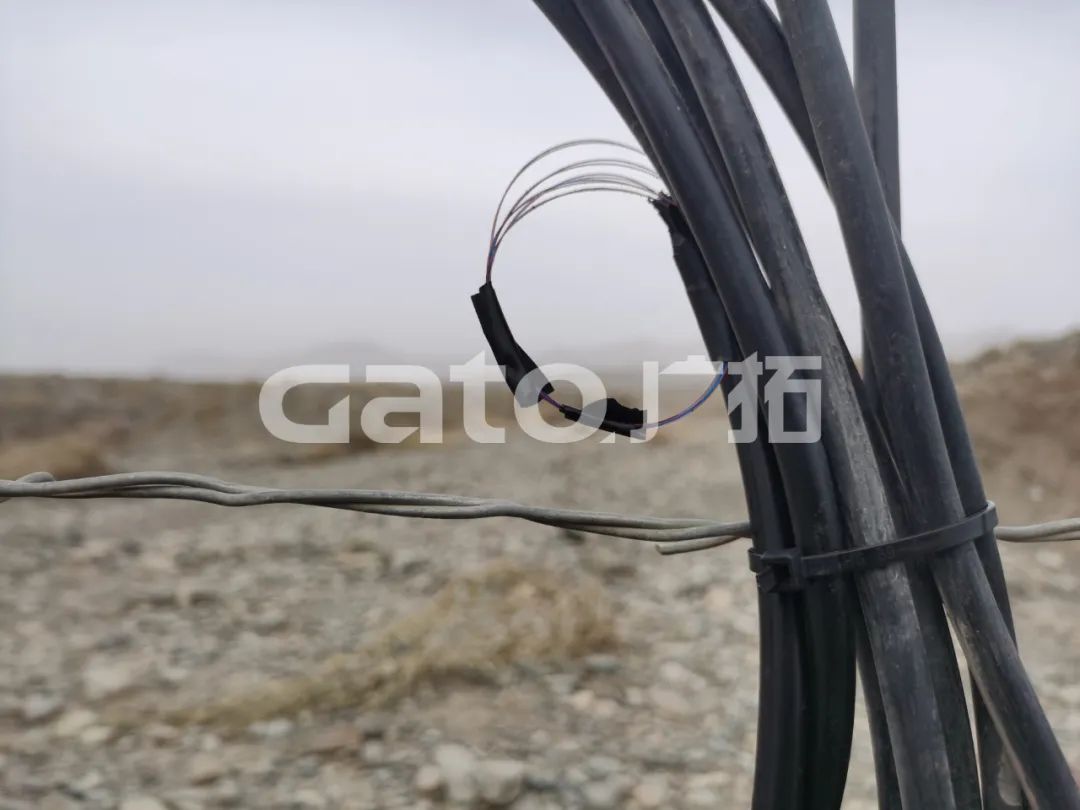 “唐僧”取經(jīng)路過的新疆古佛寺，千年后用上了廣拓F7振動光纖系統(tǒng)！(圖12)