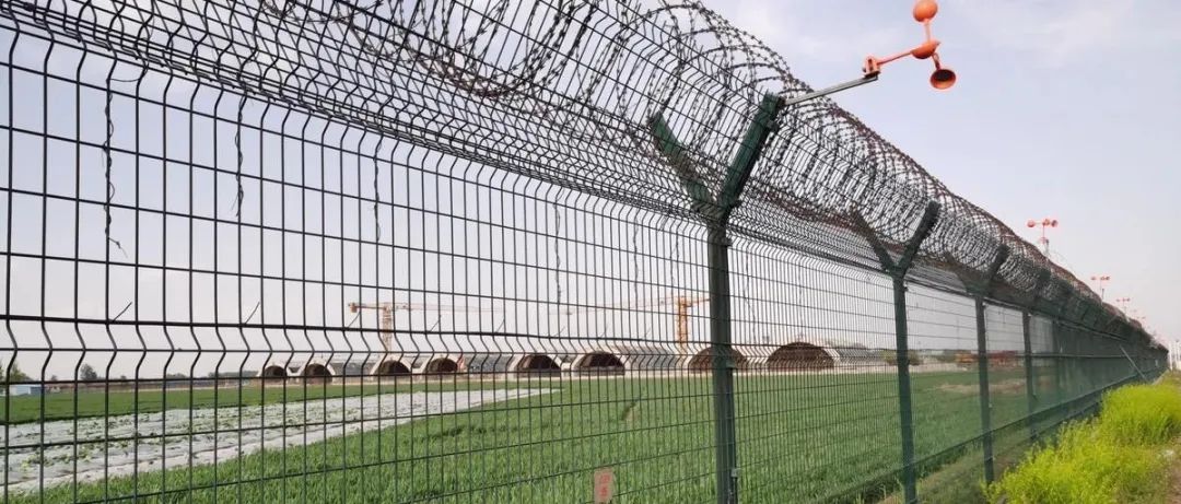 在2021年結(jié)束前，這53個(gè)廣拓下半年經(jīng)典案例推薦你看……(圖3)