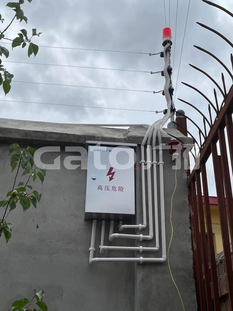 在2021年結(jié)束前，這53個(gè)廣拓下半年經(jīng)典案例推薦你看……(圖7)