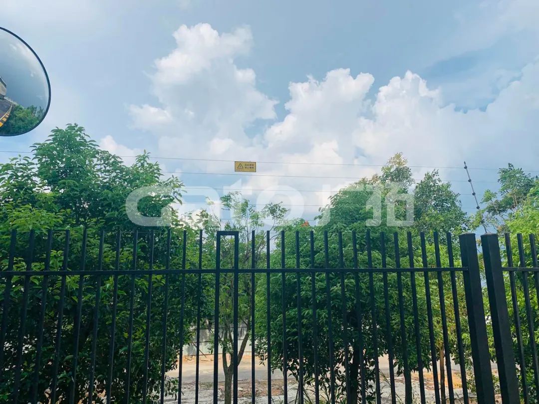 在2021年結(jié)束前，這53個(gè)廣拓下半年經(jīng)典案例推薦你看……(圖15)