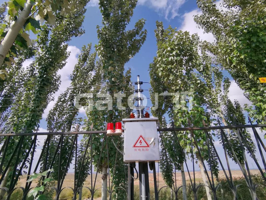 在2021年結(jié)束前，這53個(gè)廣拓下半年經(jīng)典案例推薦你看……(圖33)