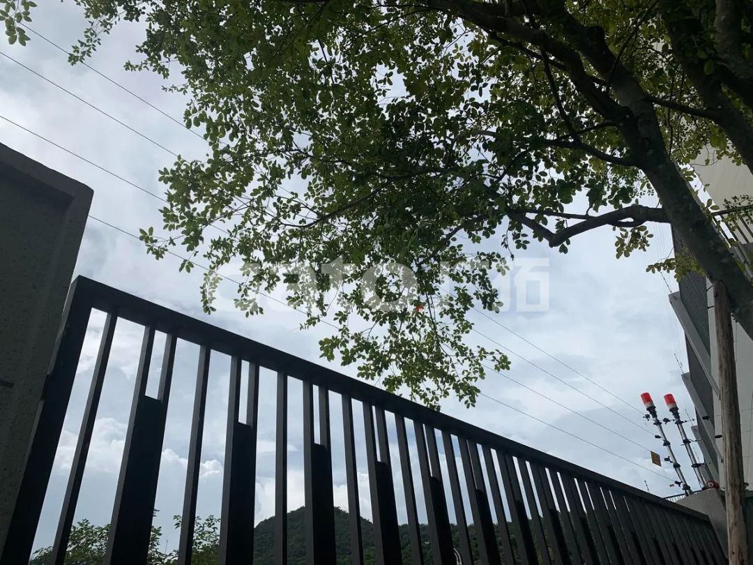 在2021年結(jié)束前，這53個(gè)廣拓下半年經(jīng)典案例推薦你看……(圖34)