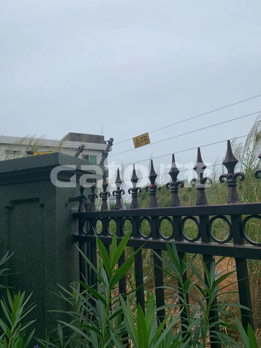 在2021年結(jié)束前，這53個(gè)廣拓下半年經(jīng)典案例推薦你看……(圖42)