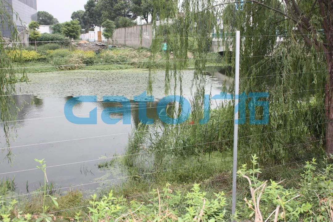 一文解鎖15種電子圍欄特殊安裝場景！(圖32)