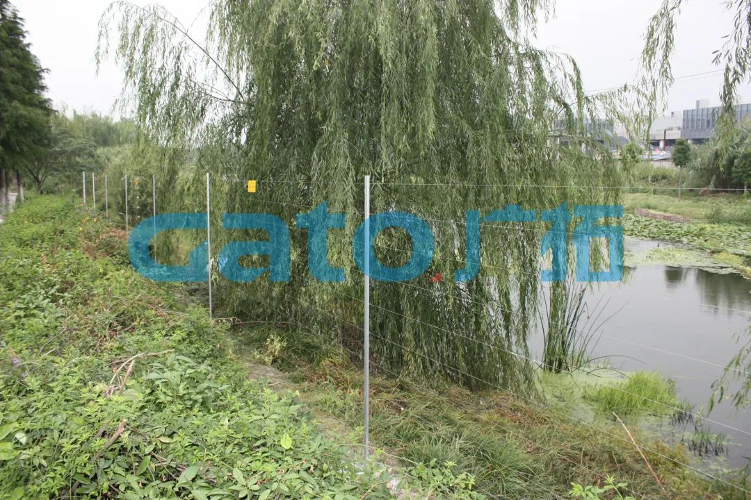 一文解鎖15種電子圍欄特殊安裝場景！(圖33)