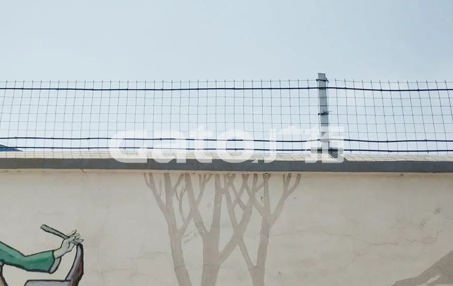 干貨|太全了，振動光纖7大場景的安裝方式圖文詳解！(圖14)