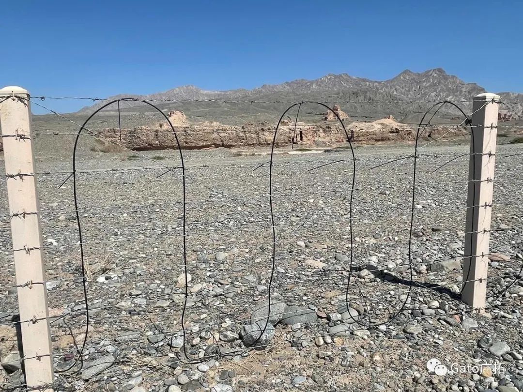 2021進度條已過半，速速圍觀廣拓上半年精選案例！(圖8)