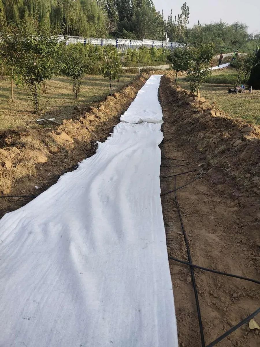 穿越回殷商王朝？15萬片甲骨的安全我來守護！(圖5)