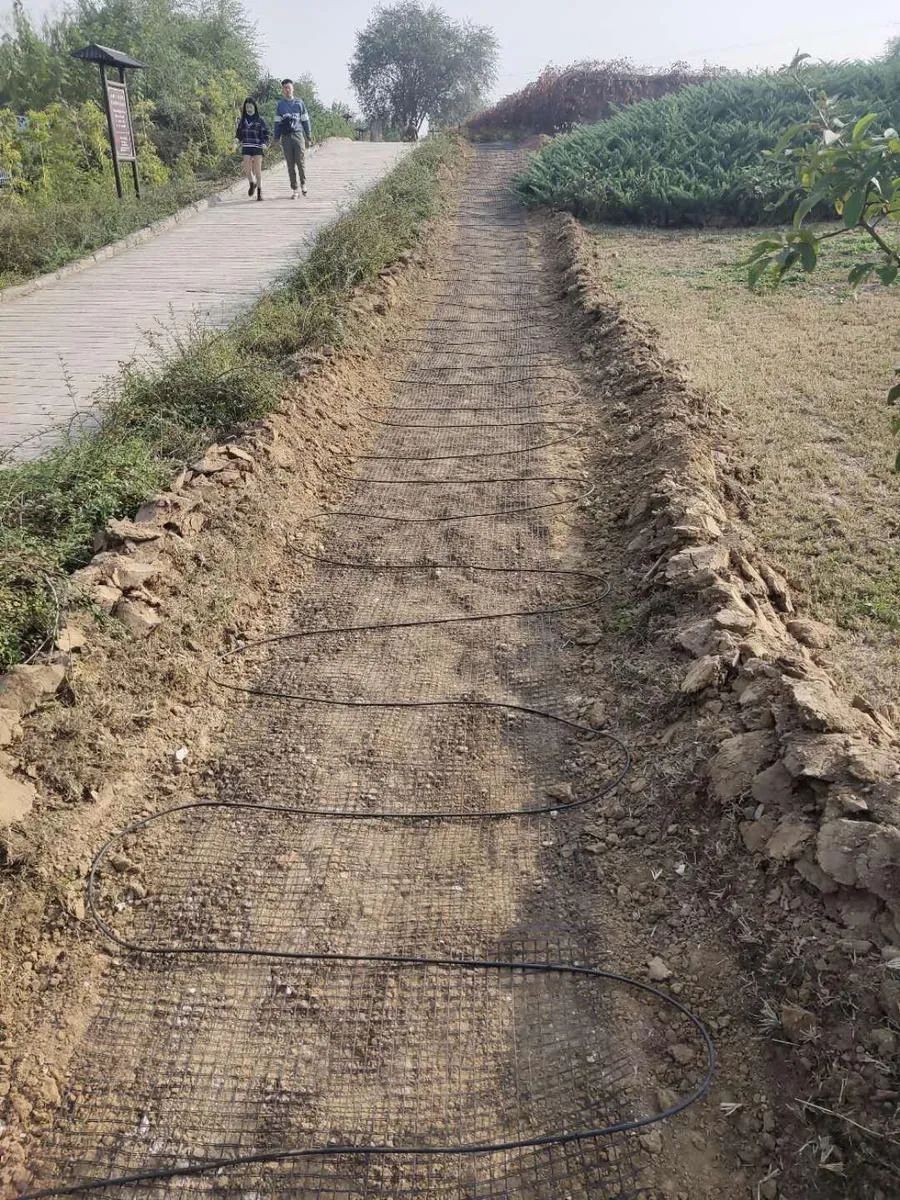 穿越回殷商王朝？15萬片甲骨的安全我來守護！(圖6)