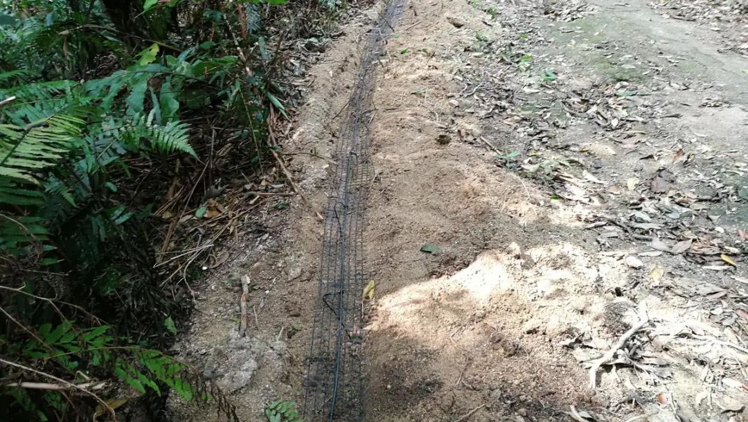 五一你負責浪~我負責安全感~(圖3)