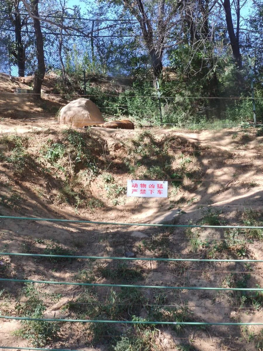 五一你負責浪~我負責安全感~(圖14)