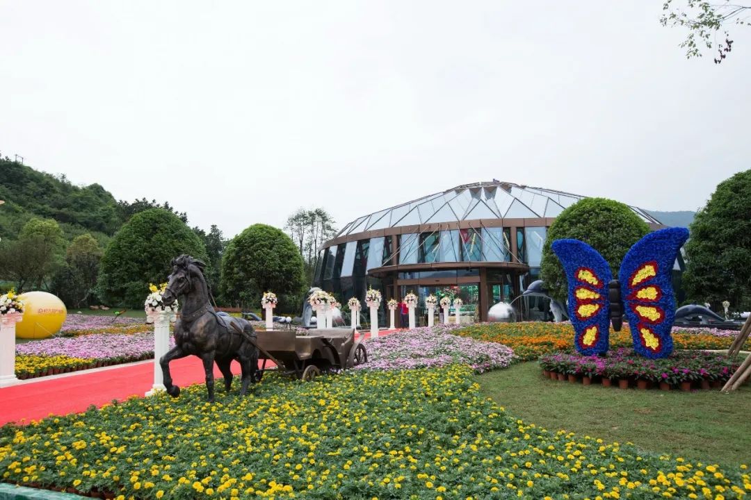 五一出游高峰不必慌，疫情防控神器來幫忙！(圖16)